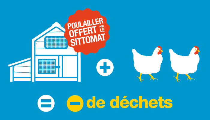 Sittomat Des Poules Pour Réduire Durablement Vos Déchets